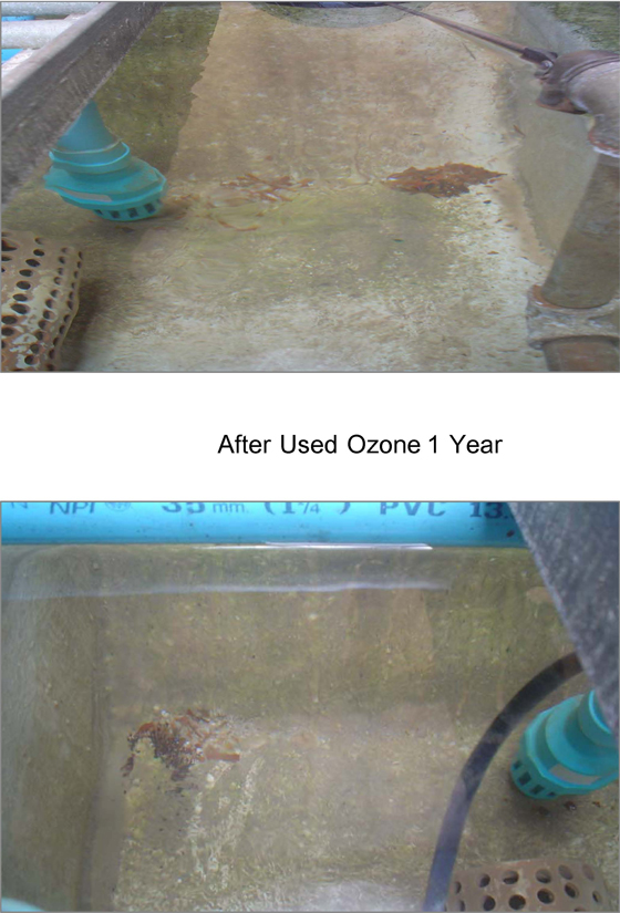 ozone for cooling tower